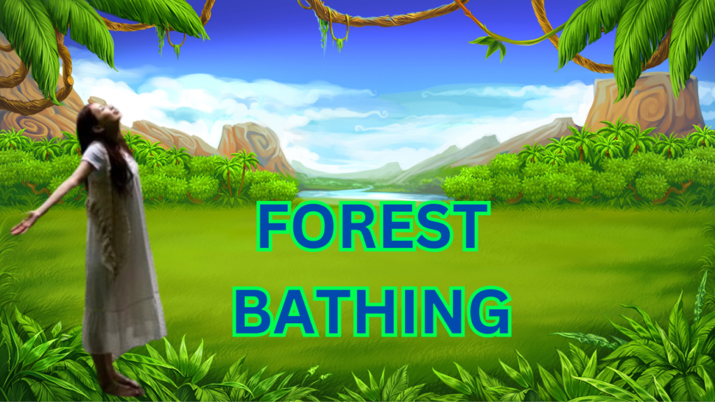 Forest Bathing How to Live a Calm Life